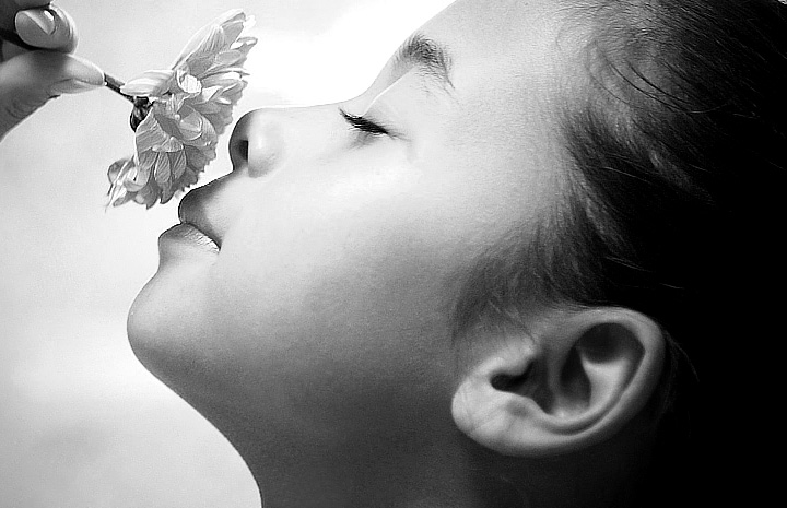 ddos在线攻击平台